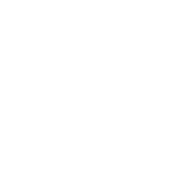 Next Arrow