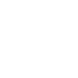 Prev Arrow